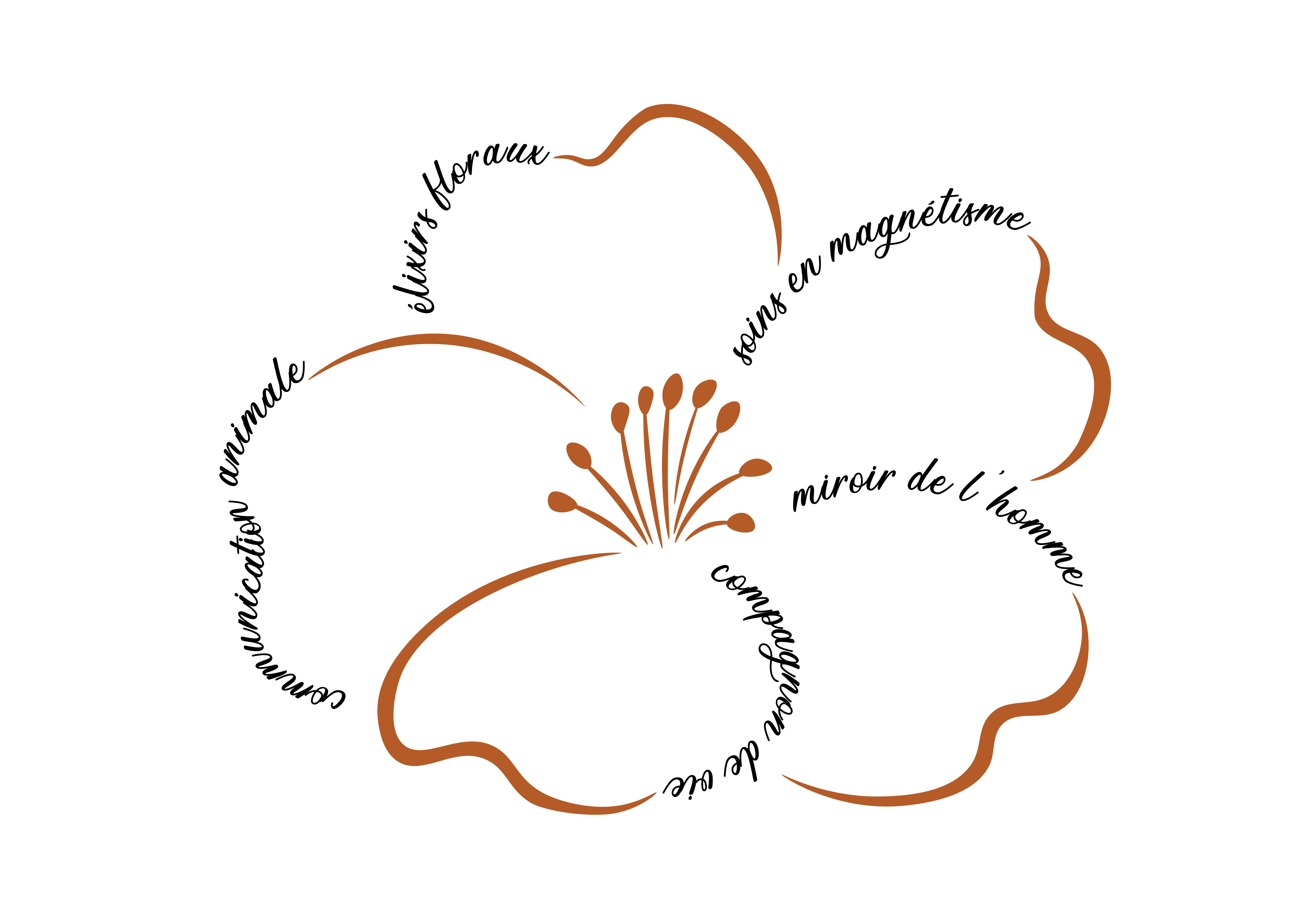 Magnetiseur Guérisseur Fontvieille Arles