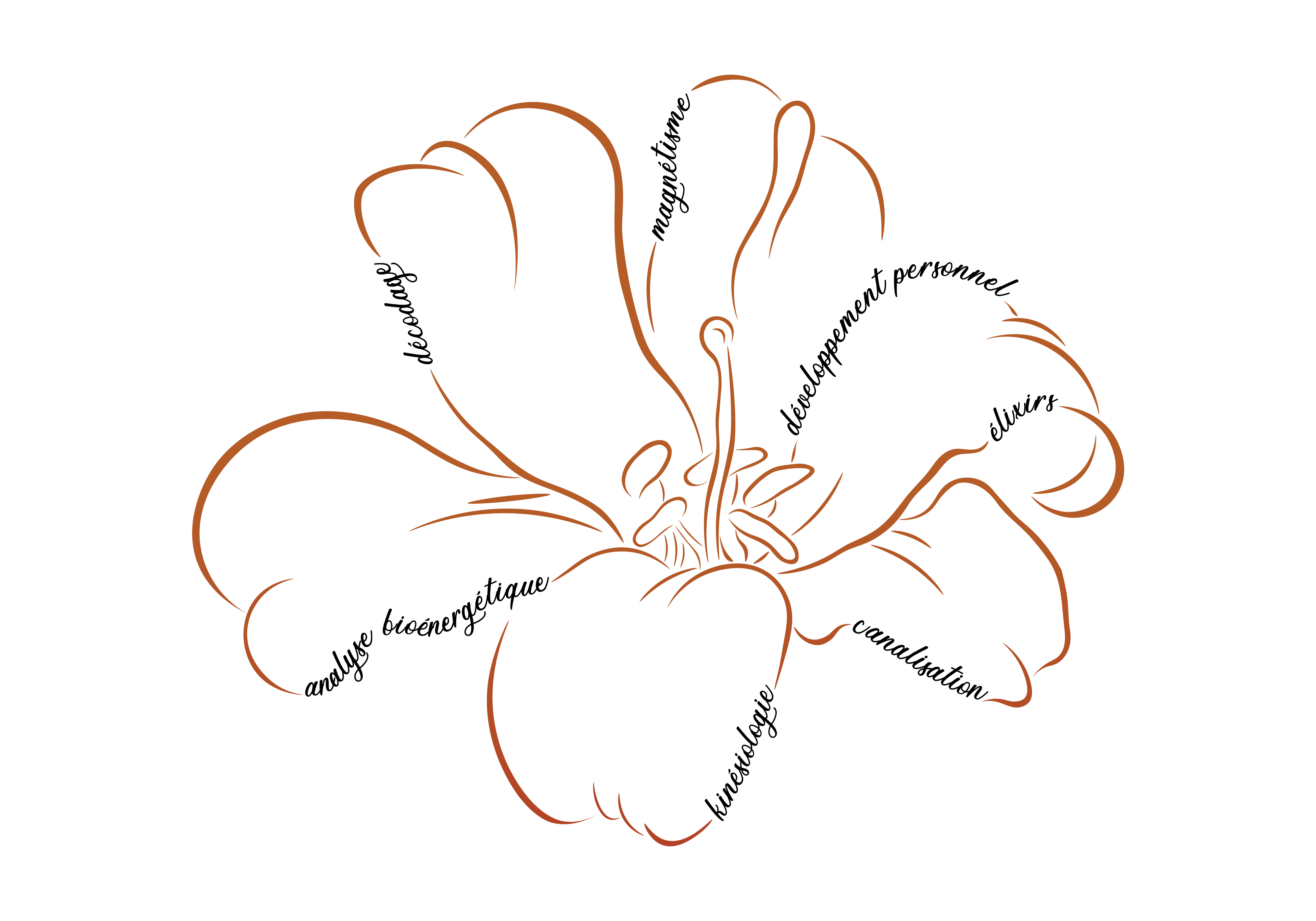 Magnétiseur Guérisseur Kinésiologue Fontvieille Arles