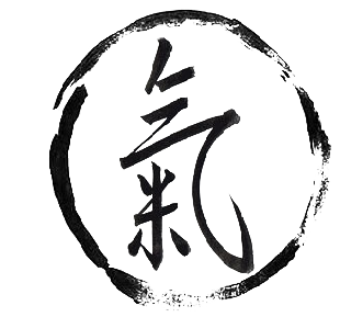 Méthode géométrique chinoise Médecine chinoise traditionnelle par Virginie Magnétiseur Fontvieille Arles Méthode géométrique chinoise Médecine chinoise traditionnelle par Virginie Magnétiseur Fontvieille Arles