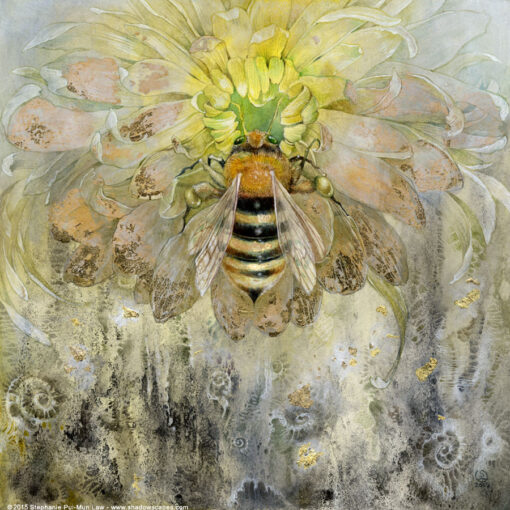 La Communication animale par Virginie Magnétiseur Guérisseur Fontvieille Arles