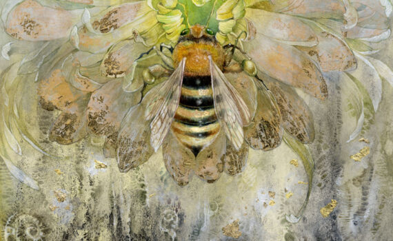 La Communication animale par Virginie Magnétiseur Guérisseur Fontvieille Arles