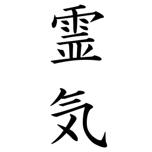 Reiki Energétique Virginie Magnétiseur Arles Reiki Energétique Virginie Magnétiseur Arles